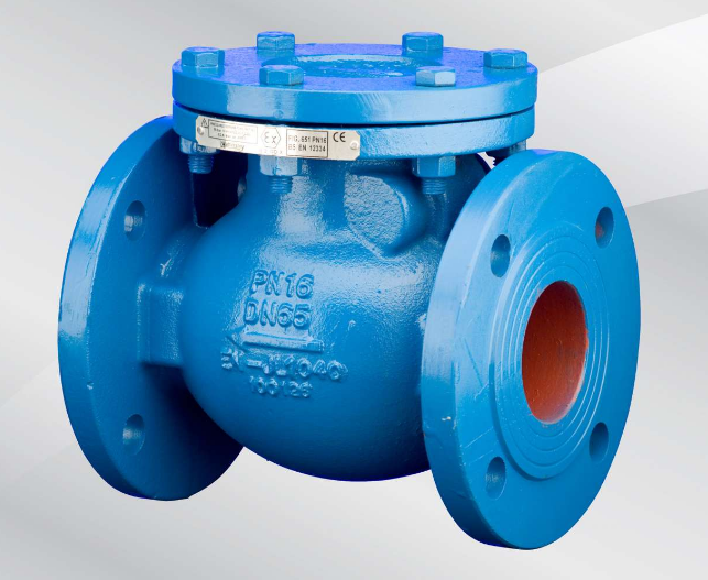 Check Valve 651 (Cast Iron)